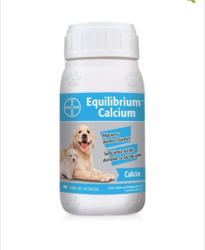 Equilibrium Calcio