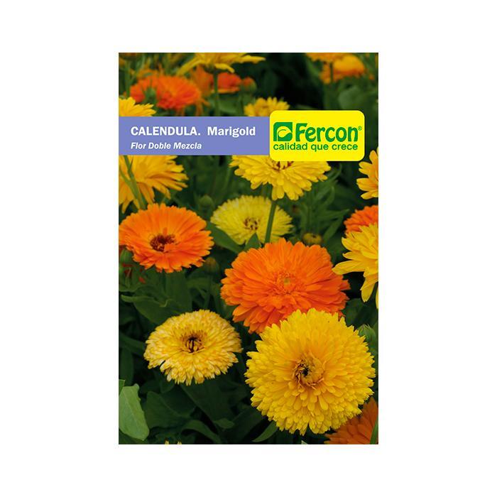 Semilla Calendula Flor Doble 1 gr