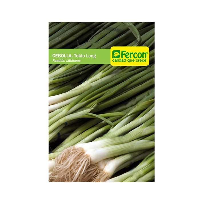 Semilla Cebolla Larga 25 gr