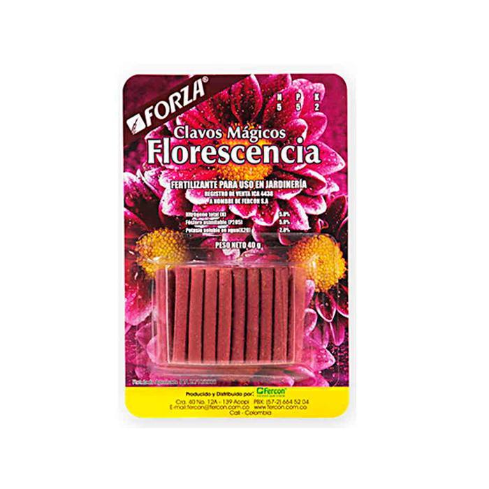 Clavos Mágicos Florescencia