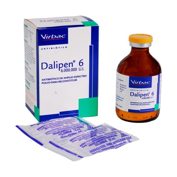 Dalipen 6 6 Millones Ui