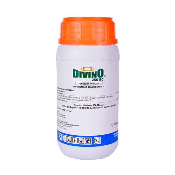 Divino EC x 250 CC