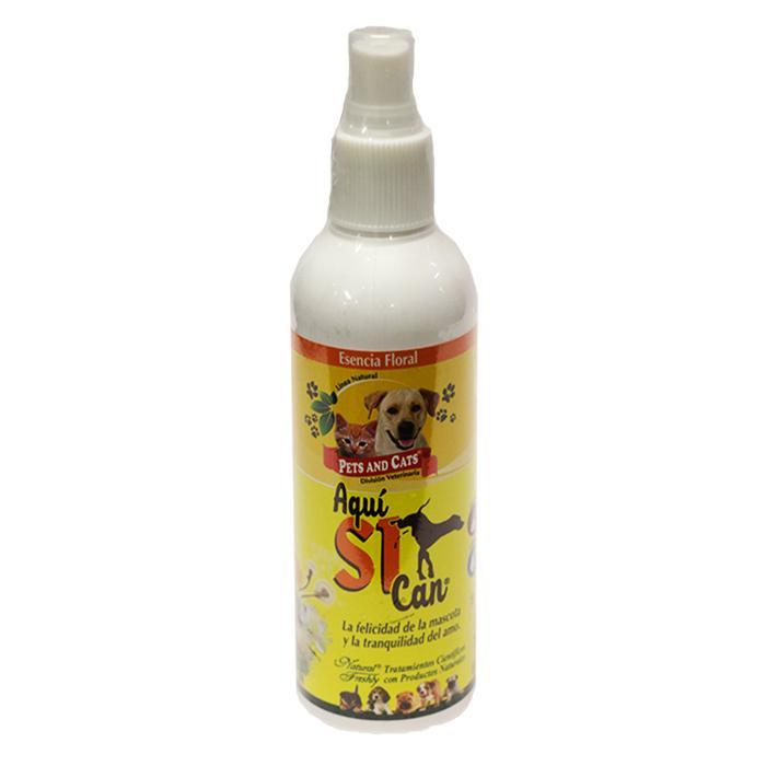 Esencia Aquí Si Can 240 ml