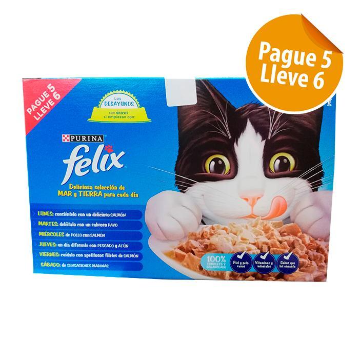 Felix 156 Gr Surtido (6 Uds)
