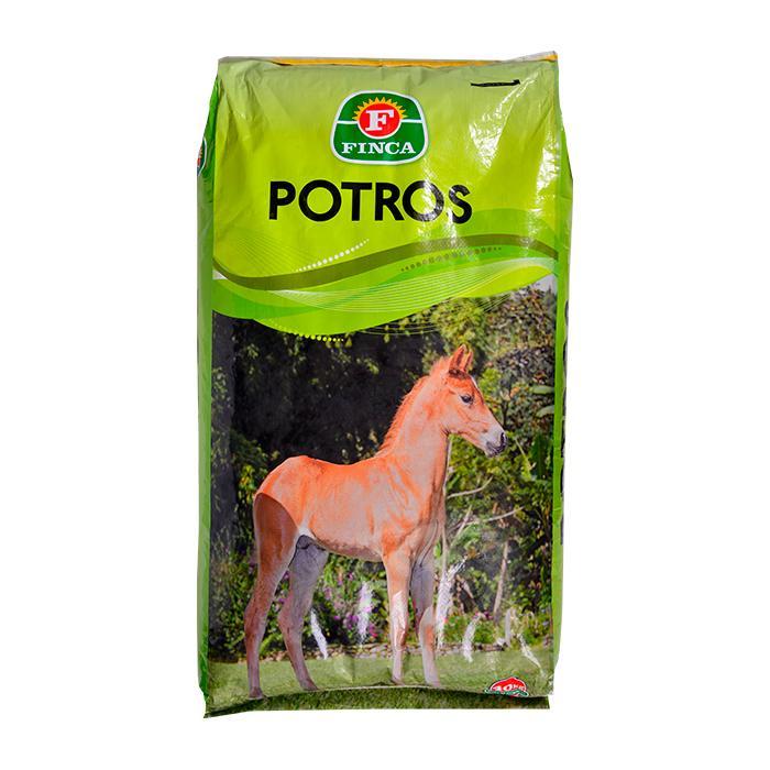 Finca Potros 40
