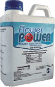 Flower Power 1 lt
