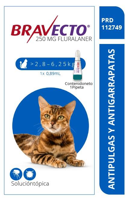 Bravecto Spot On Cat 250 mg 2,8 - 6,2k 1 Ds