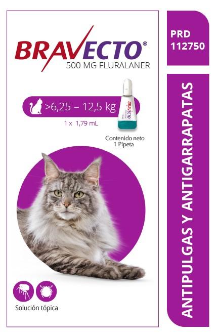 Bravecto Spot On Cat 500mg 6,2-12,5k 1 Ds