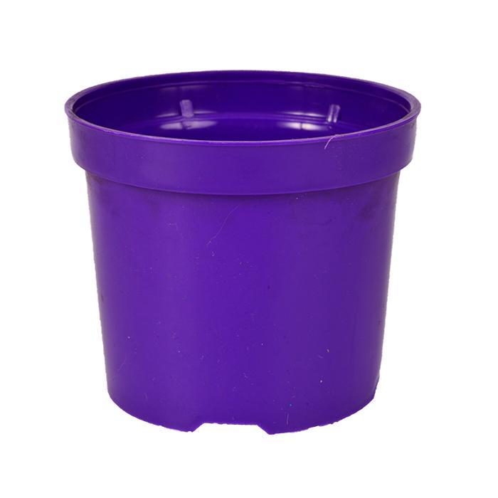 Maceta Lila Redonda 8.5 cm