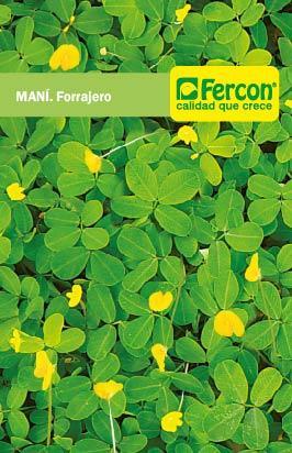 Semilla Maní Forrajero 500 gr
