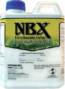 NBX 1 lt