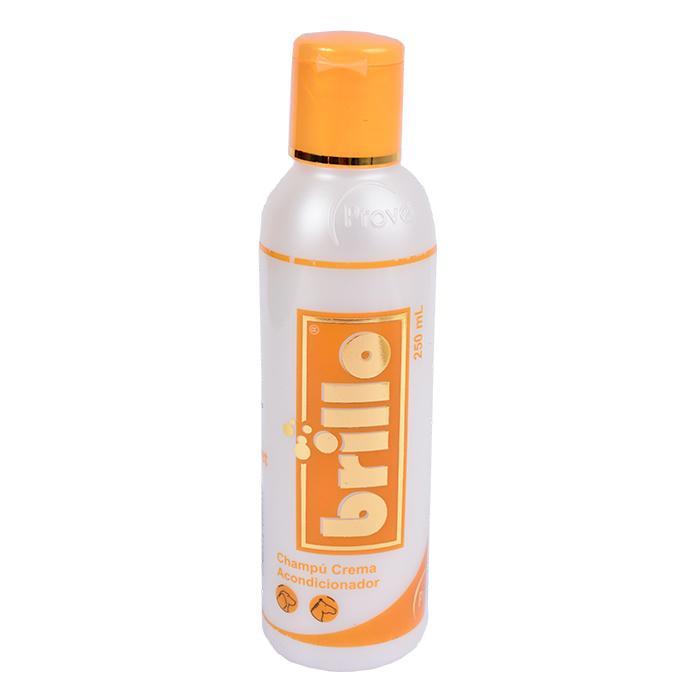 Shampoo Brillo x 250 ml