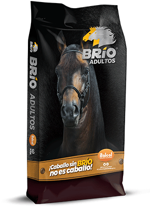 BRIO ADULTOS X 40 KLS