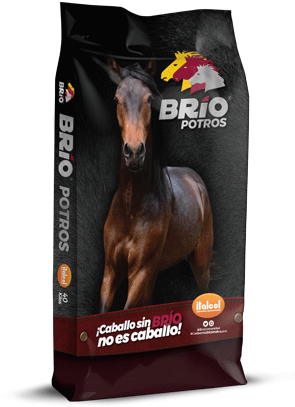 BRIO POTROS X 40 KLS