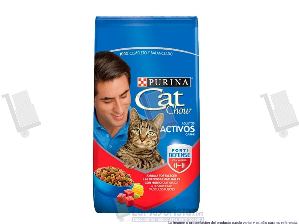 CAT CHOW ADULTO ACTIVOS  X500gr.
