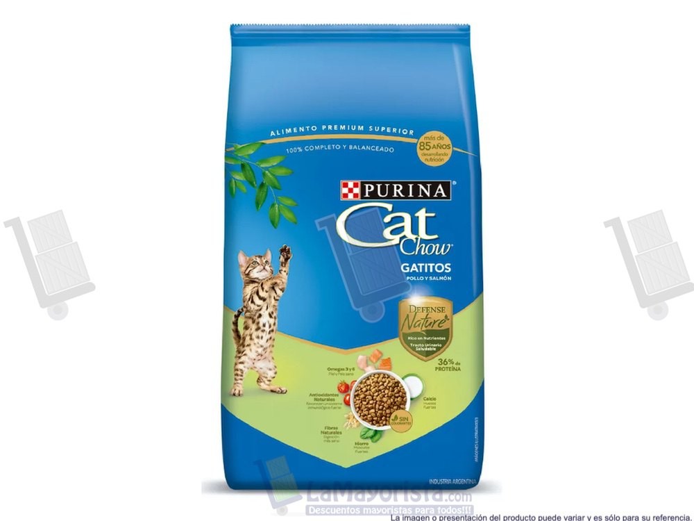CAT CHOW GATITOS X500gr.
