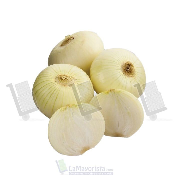 CEBOLLA DE HUEVO BLANCA