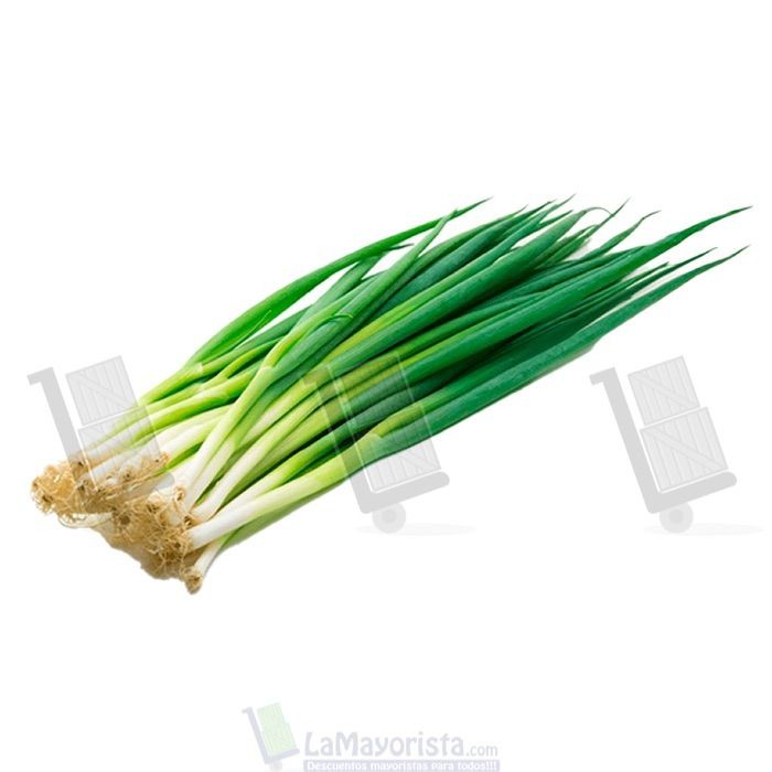 CEBOLLA DE JUNCA PELADA