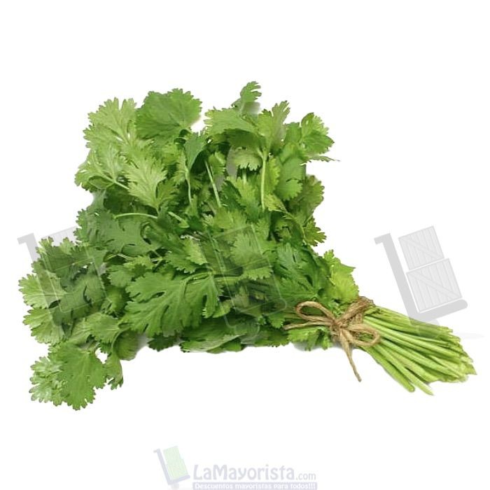 CILANTRO