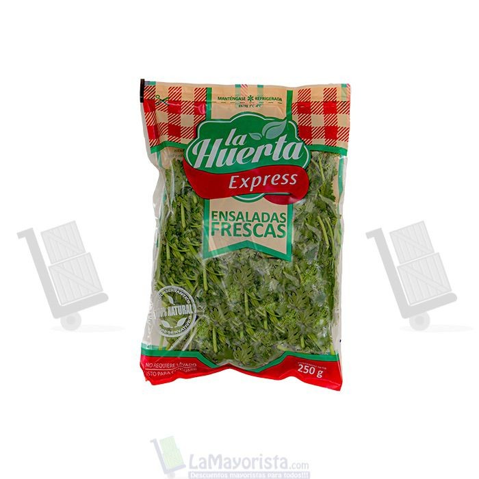 Cilantro deshojado