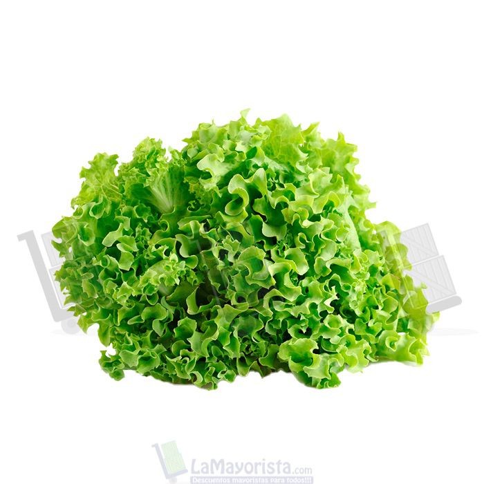 LECHUGA CRESPA X UNIDAD