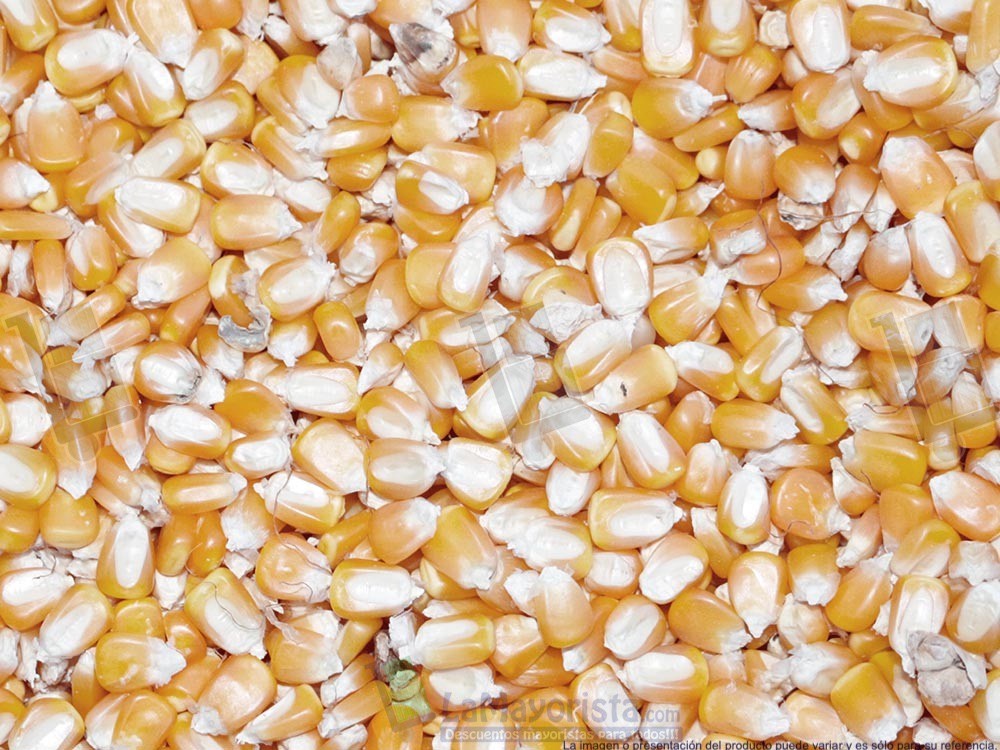 MAIZ TRILLADO AMARILLO X 50Kg.