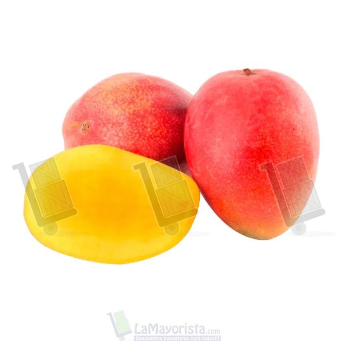 MANGO TOMY