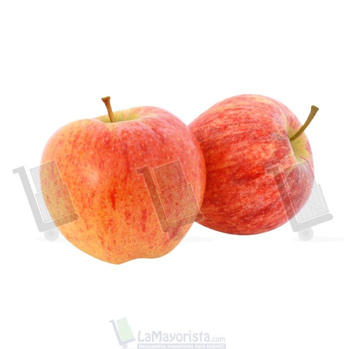 MANZANA GALA