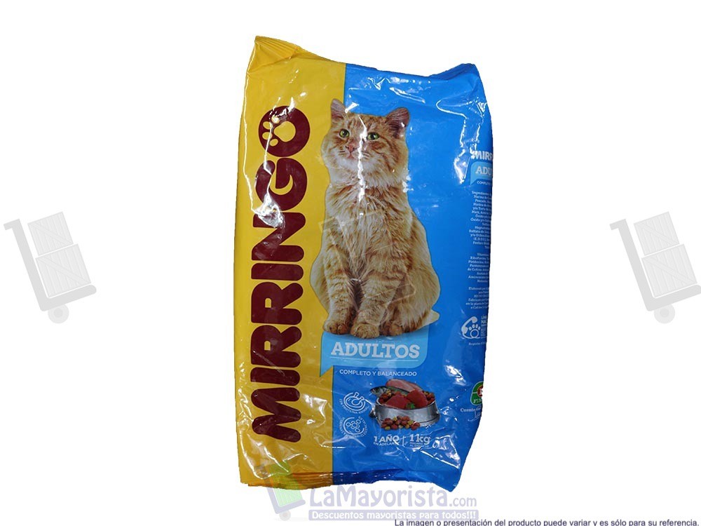 MIRRINGO X1000