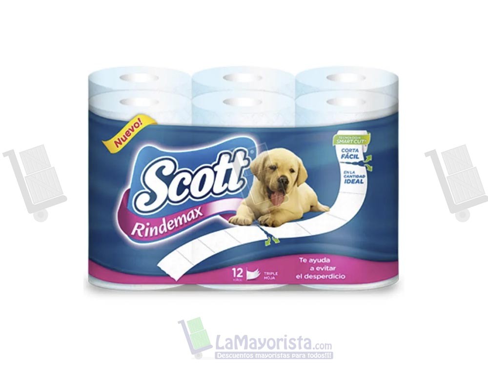 PAPEL H. SCOTT RINDEMAX  X4