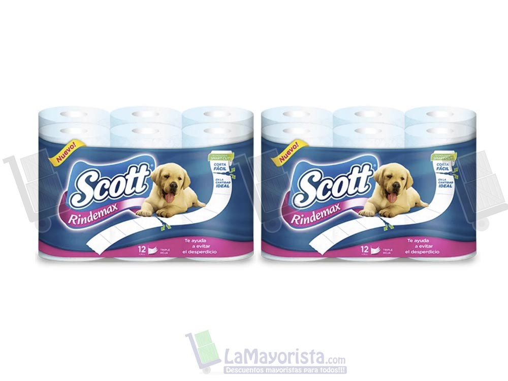 PAPEL H. SCOTT RINDEMAX  X4