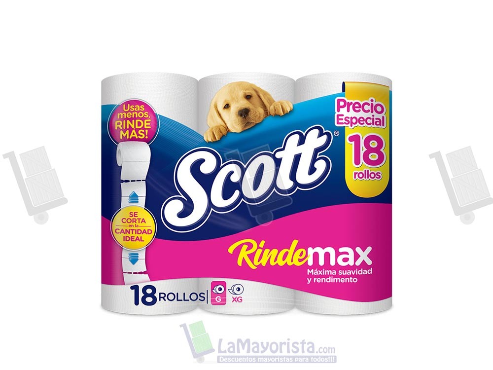 PAPEL H. SCOTT RINDEMAS 2 X 18
