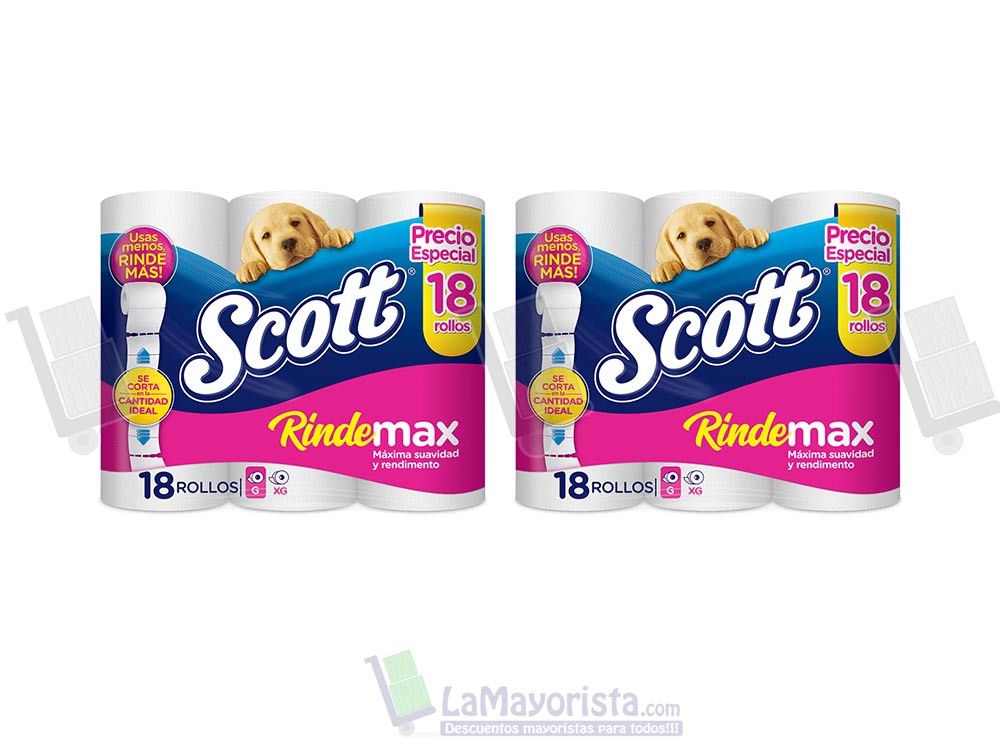 PAPEL H. SCOTT RINDEMAS 2 X 18