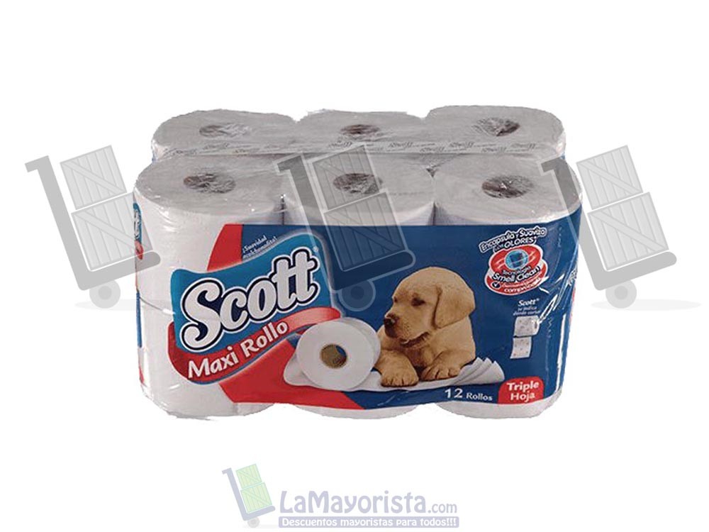 PAPEL H. SCOTT MAXI ROLLO X12