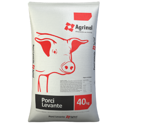 Porci - Levante 40 kg