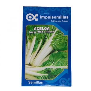 Semilla de Acelga large w ribbet x 7 gr