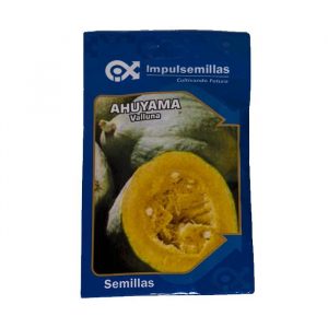 Semilla de Ahuyama valluna x 10 gr