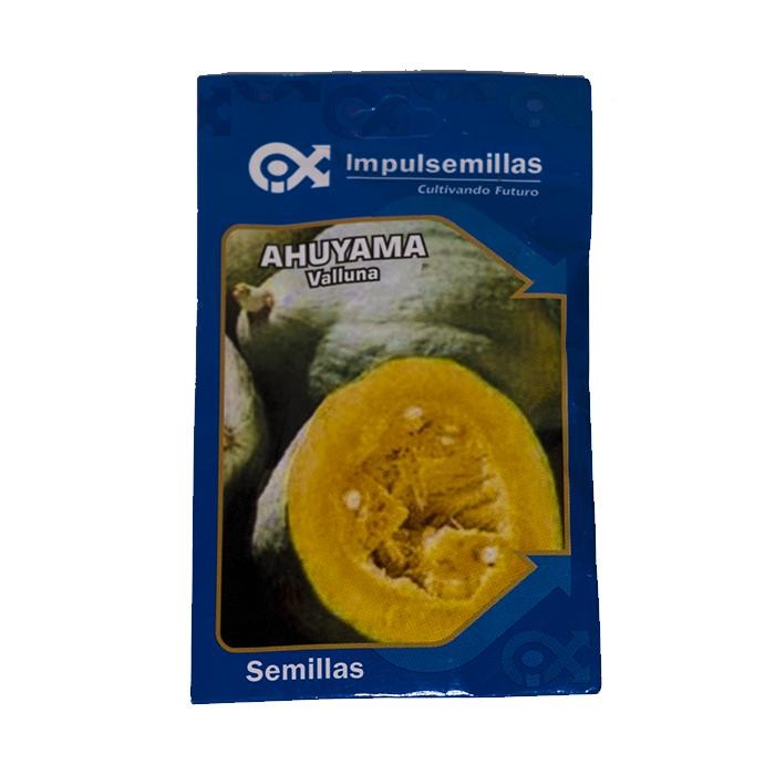 Semilla de Ahuyama valluna x 10 gr
