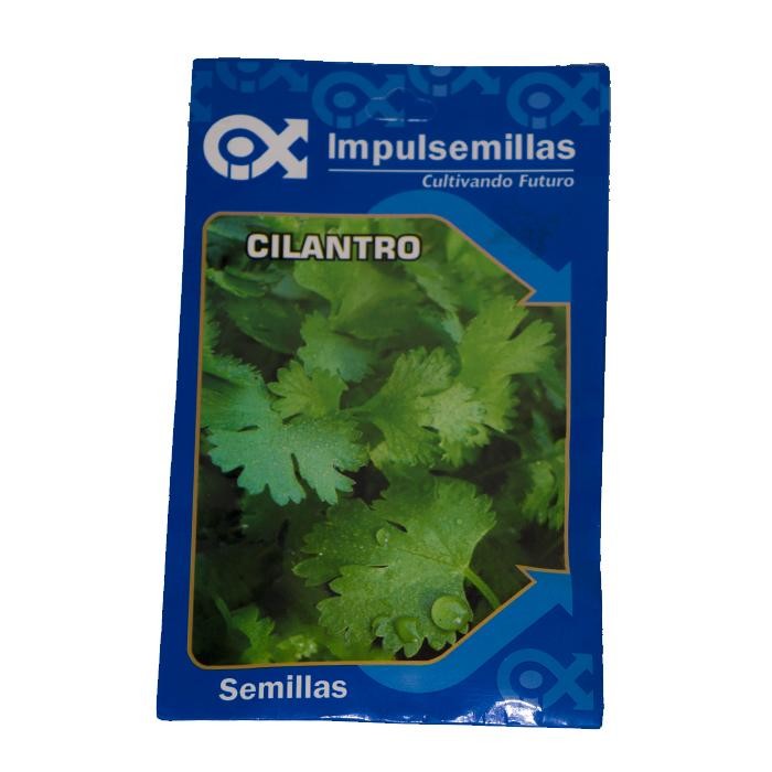 CILANTRO LONG STADING BOLSA X 10 GR