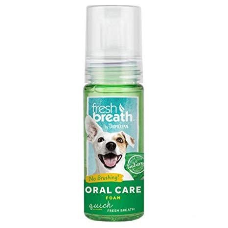 FRESH BREATH ESPUMA MENTA FRESCA 4 5 OZ