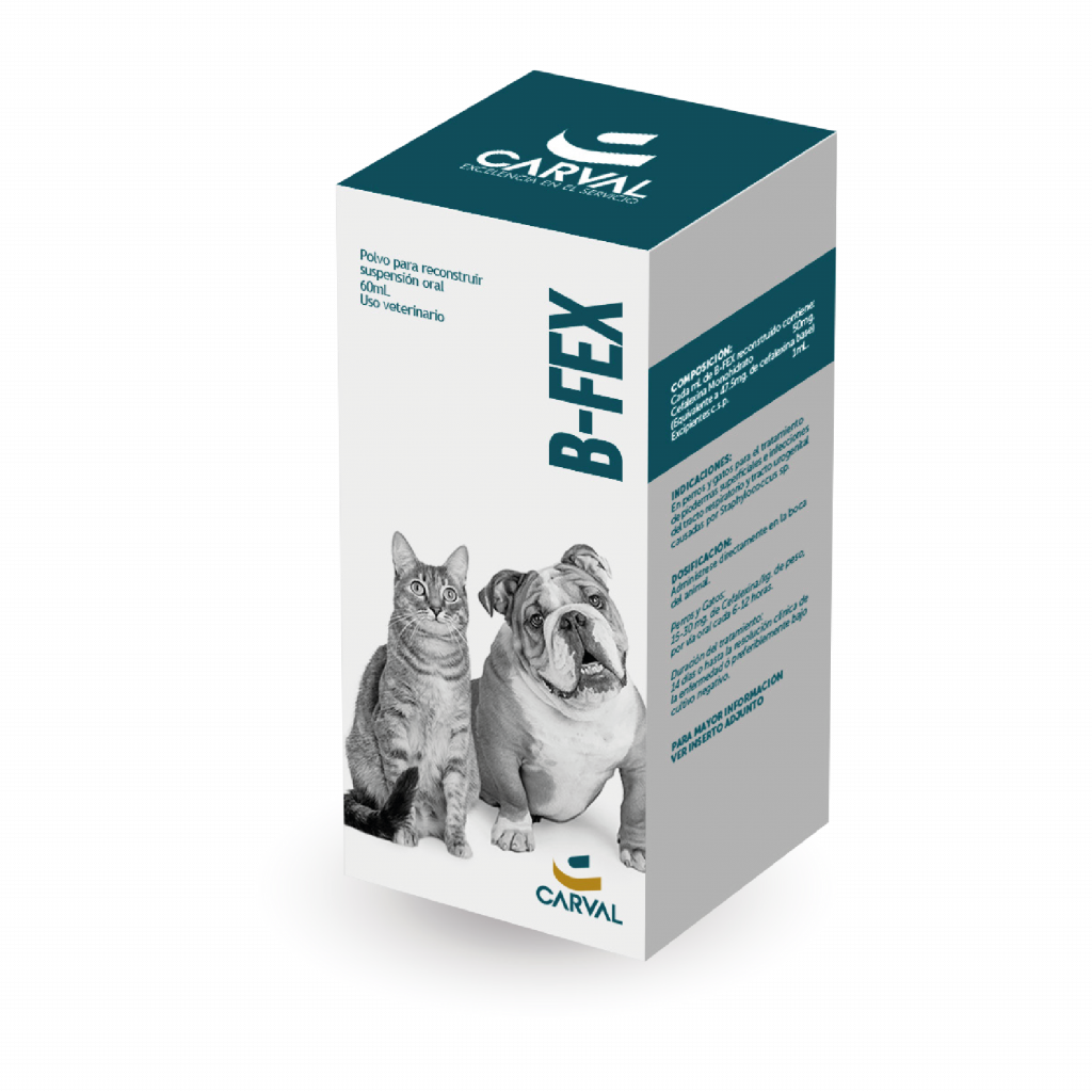 B FEX CEFALEXINA SUSPENSION 60 ML