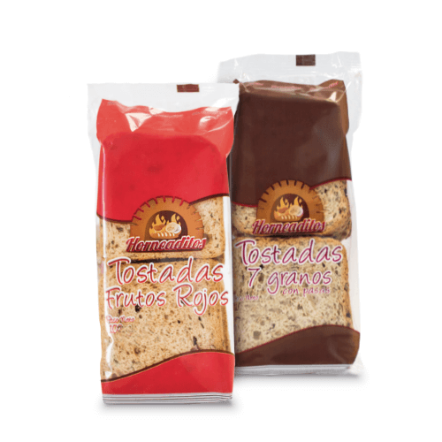 TOSTADA SURTIDA HORNEADITOS 100 G