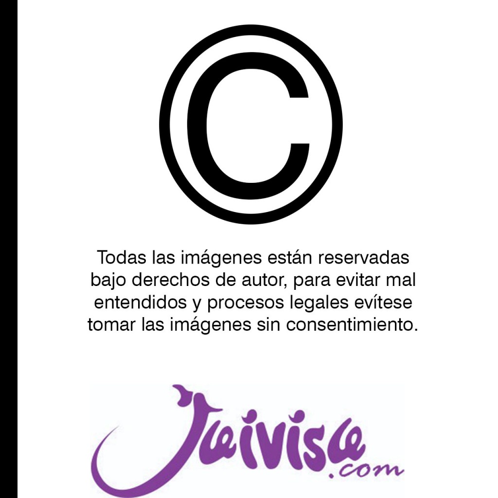 Organizador Moana Juegos Juguetes Jugueterias Decoracion DJ2811