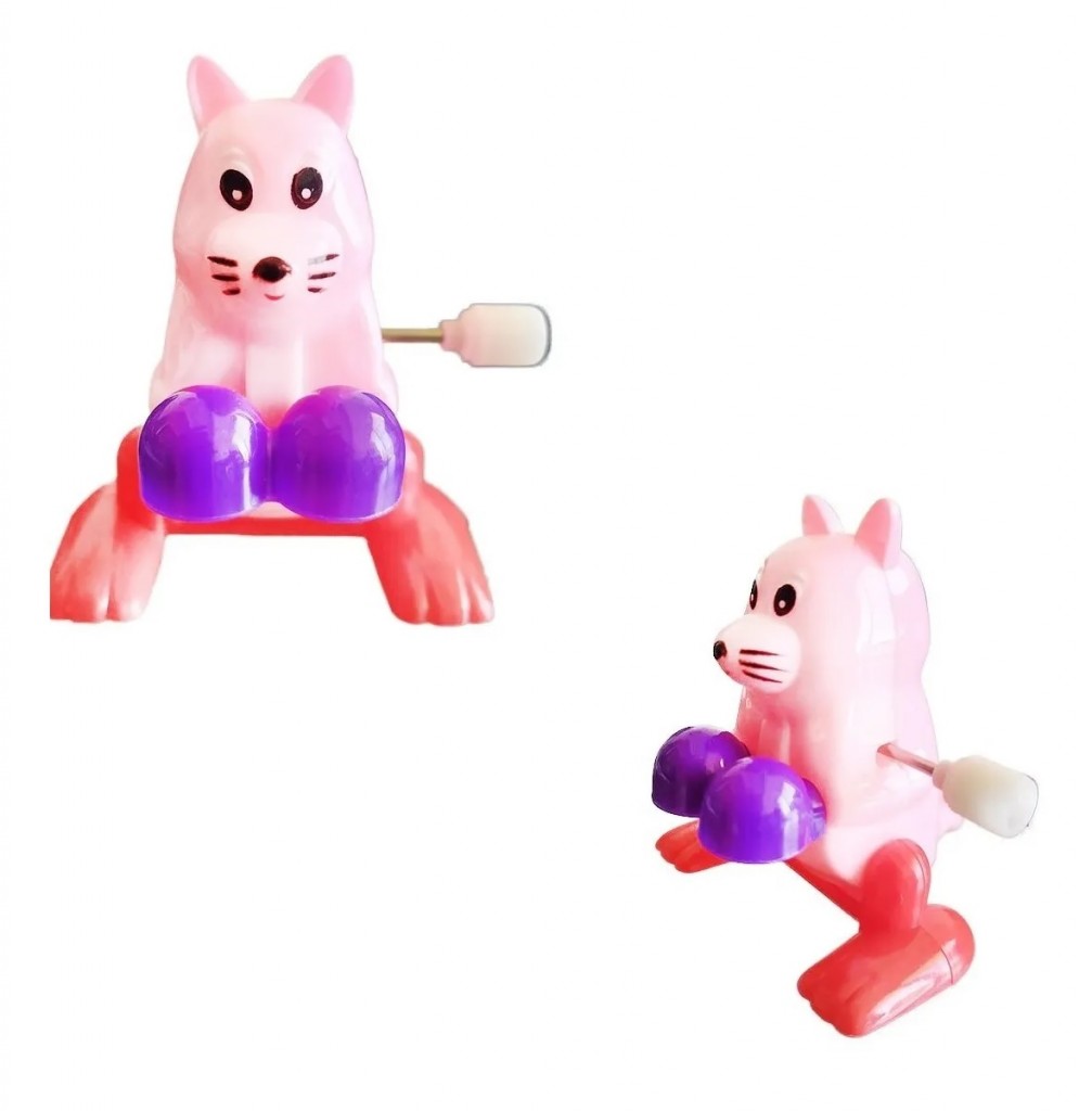 Animales Maromeros Didáctico X4 Más Pelota Luz Juguetería