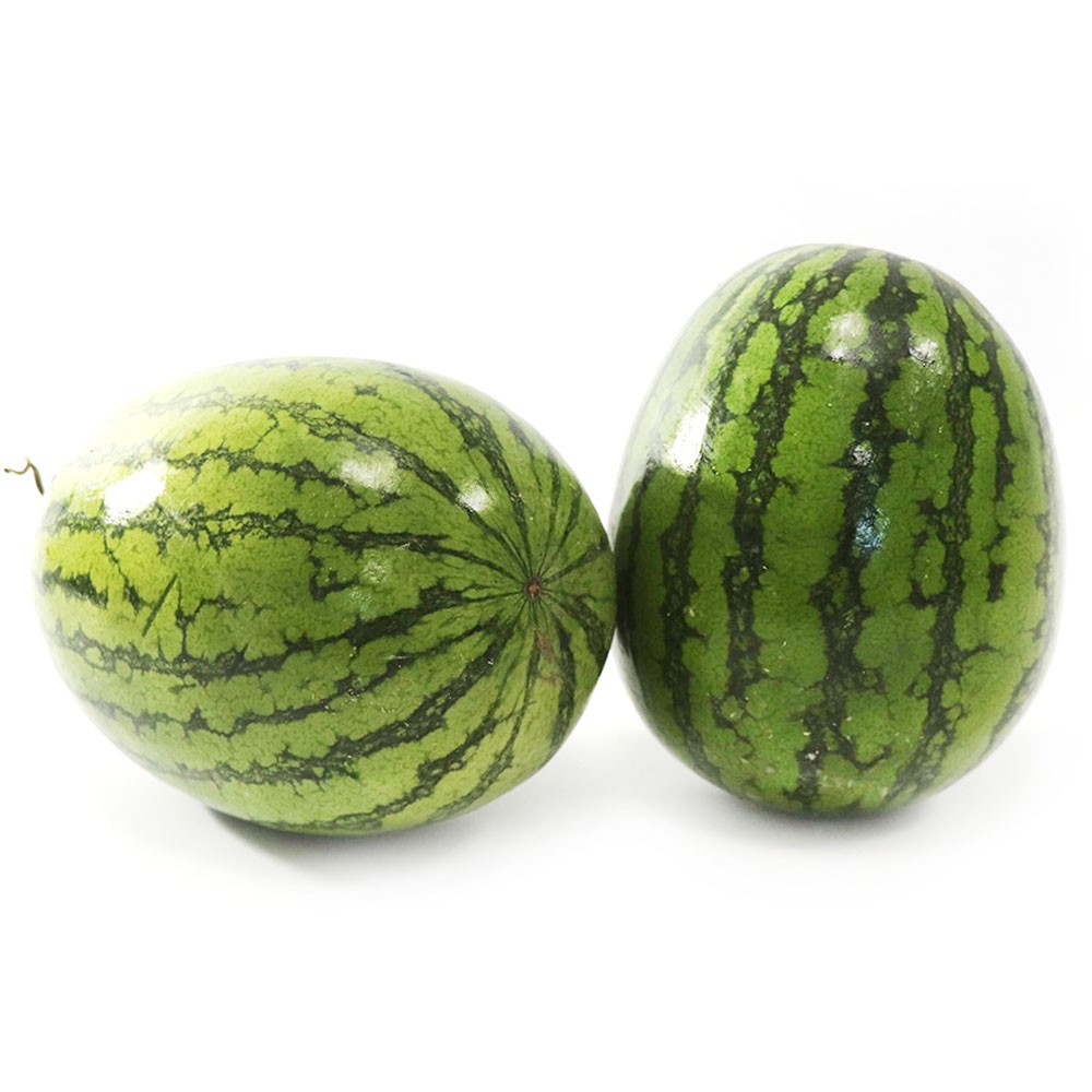 SANDIA BABY - LIBRA