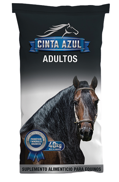 CINTA AZUL ADULTOS X 40 KGS REF 916540