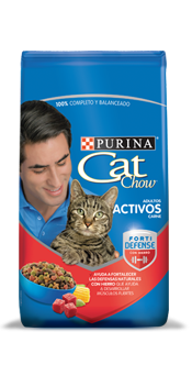 CAT CHOW ADULTOS ACTIVOS F D X 8 KG