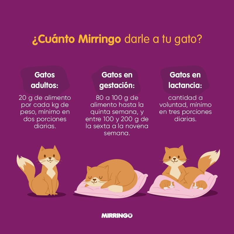 MIRRINGO BOLSA X 1 KG REF 560121