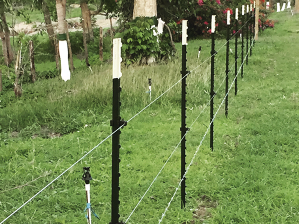 POSTE DE ACERO LECHERO-OVINO 1.50M