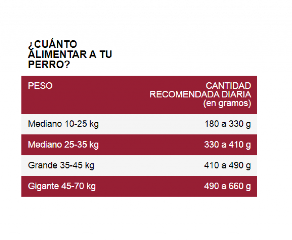 EXCELLENT ADULT RAZA MED GRANDE X 3 KG